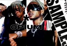 OPIUM LÀ GÌ? Giải mã xu hướng “Vamp” gây bão thời gian qua