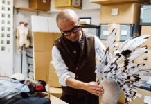 Katsuya Kamo – Nghệ thuật biểu hiện thông qua mái tóc